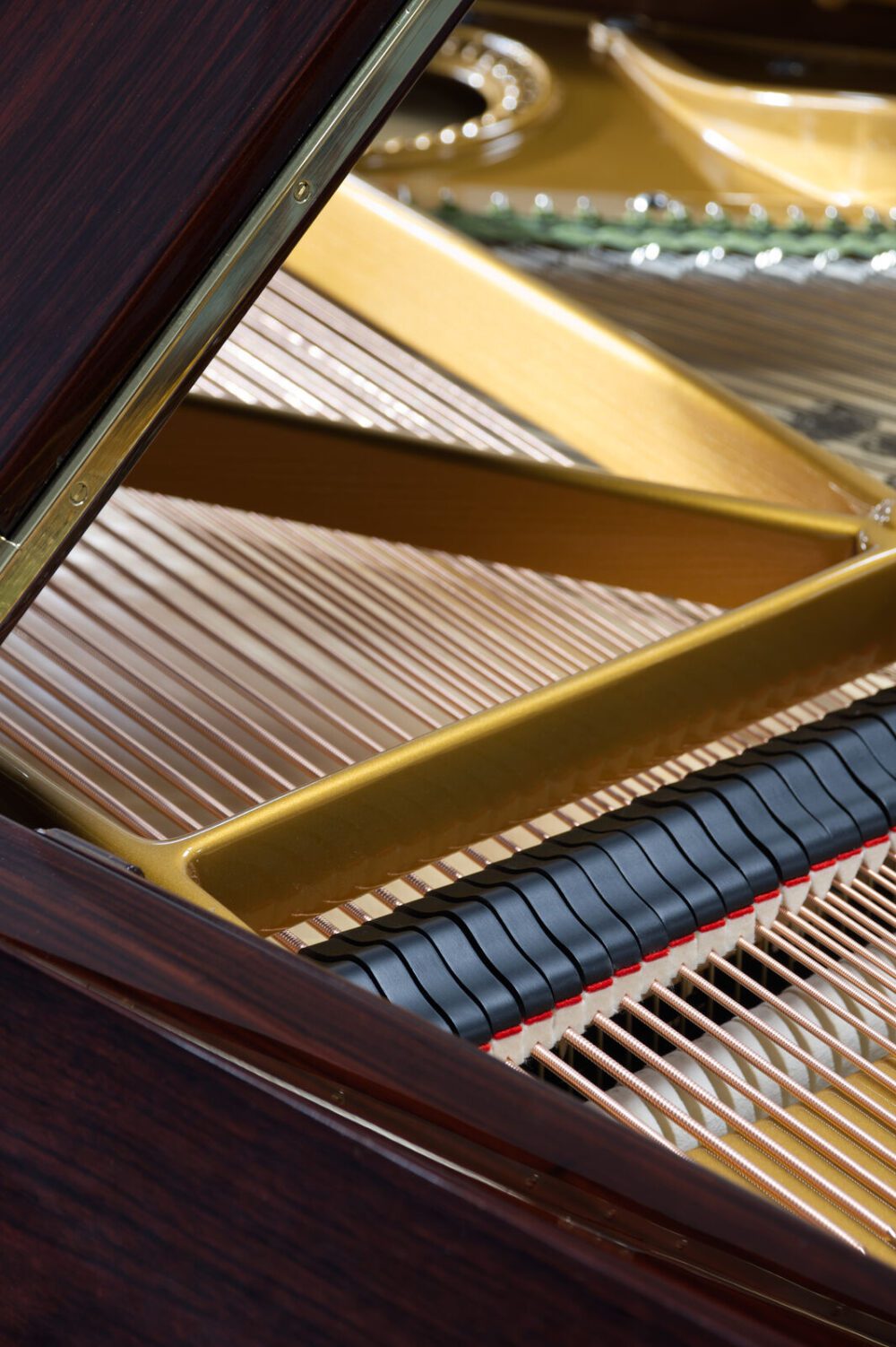 C. Bechstein Flügel, Modell B, 200 cm, aus Palisander, gebraucht, komplett neu 2023