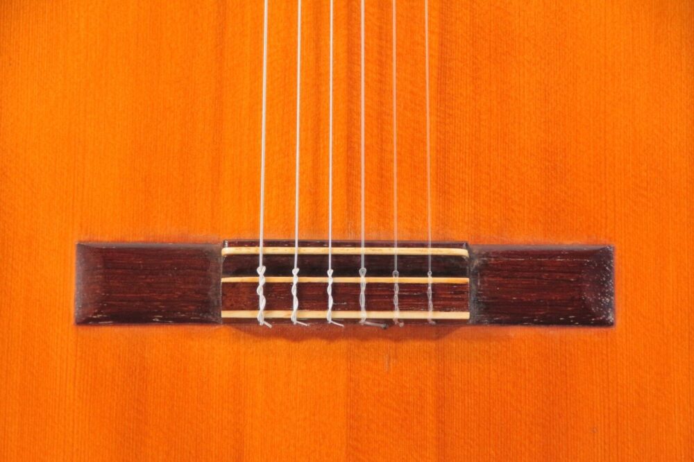 Francisco Simplicio 1931 - Klassische Meistergitarre im Torres Stil + Video