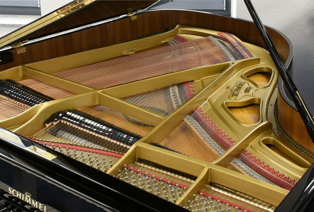 Gebrauchter Schimmel Flügel in Schwarz Hochglanz, 174 cm