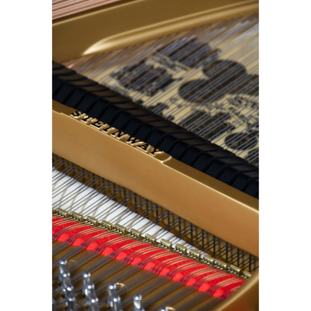 Gebrauchter Steinway & Sons Flügel M170, Baujahr 1922