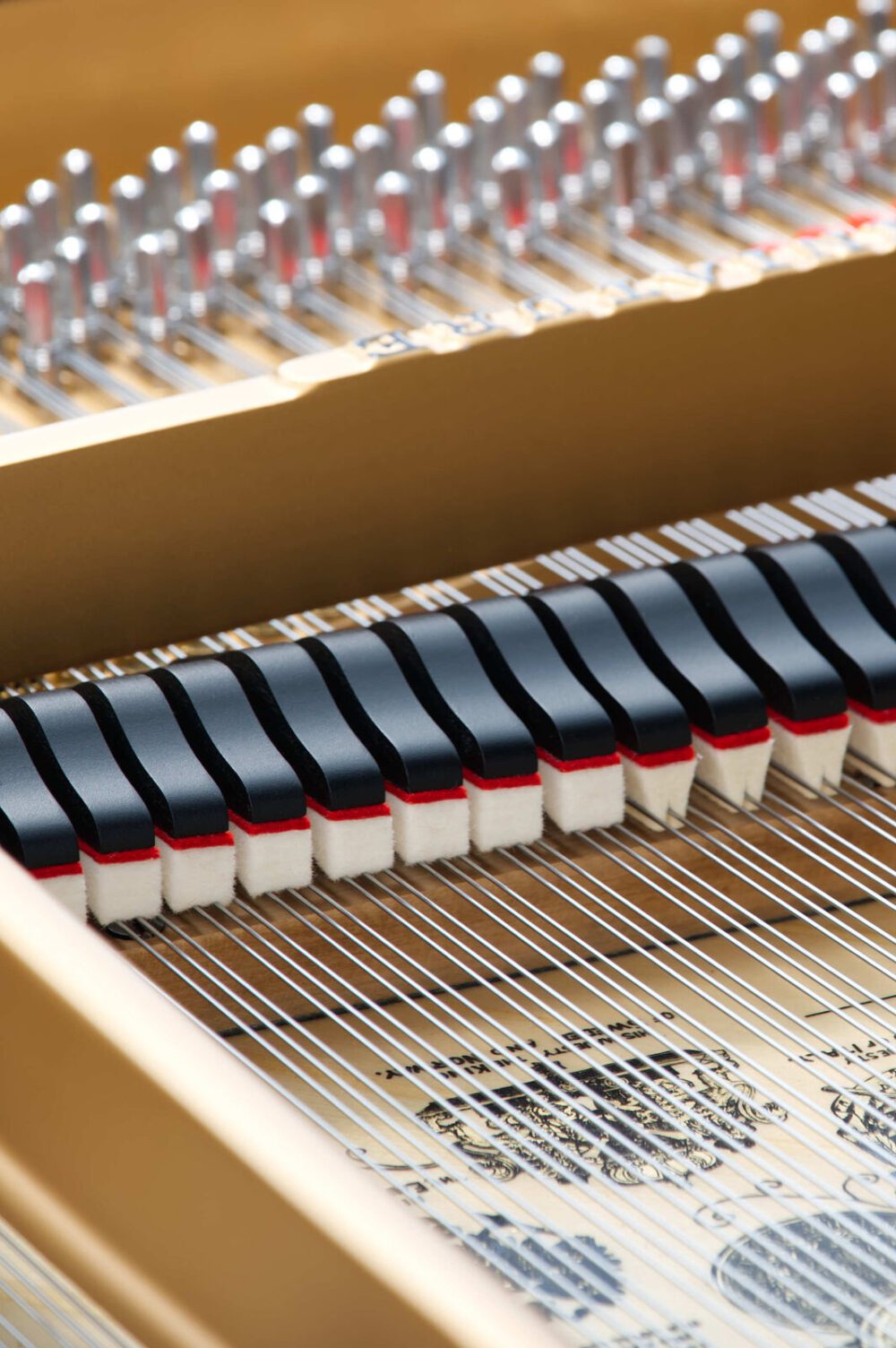 Steinway & Sons Flügel O-180 aus Wurzelholz mit schwarzen Akzenten, Baujahr 1903, gebraucht